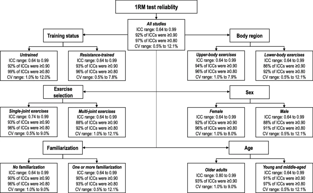 1RM 테스트, 정말 믿을 수 있을까? 32개 연구로 밝혀낸 5가지 놀라운 사실