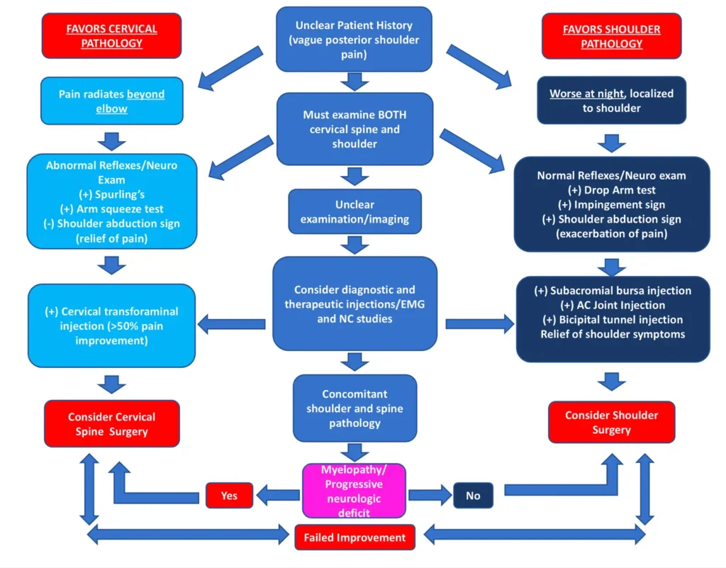 목 통증과 어깨 통증 구분법 3가지 - 병력과 신체 검사 그리고 구별 검사 목과 어깨 통증 진단 알고리즘