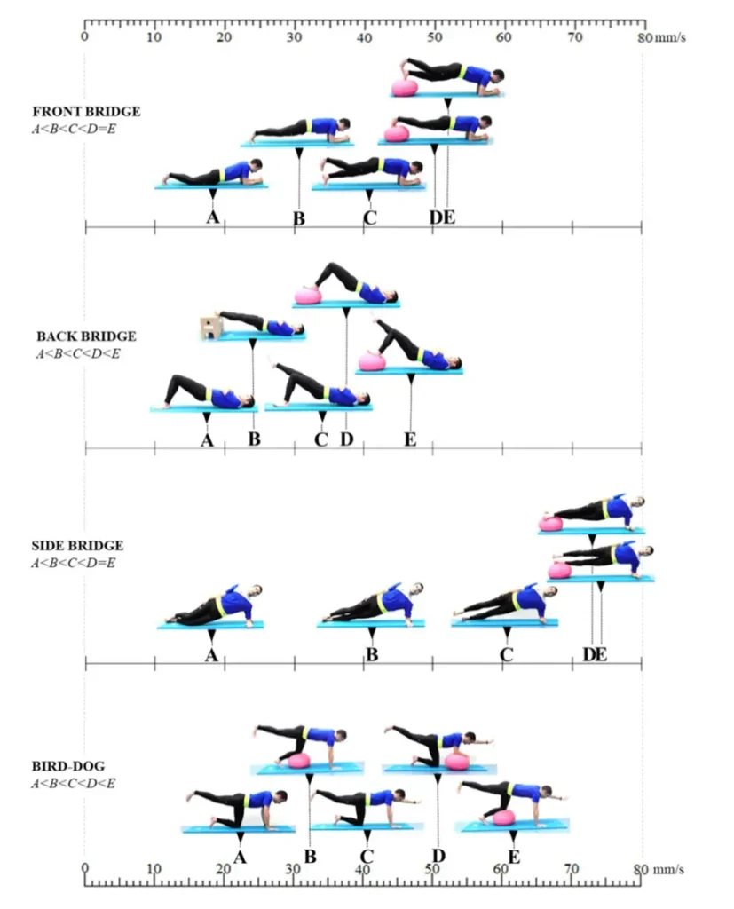 코어 운동 강도 조절의 과학: 전문가들이 놓치는 5가지 진행 원칙