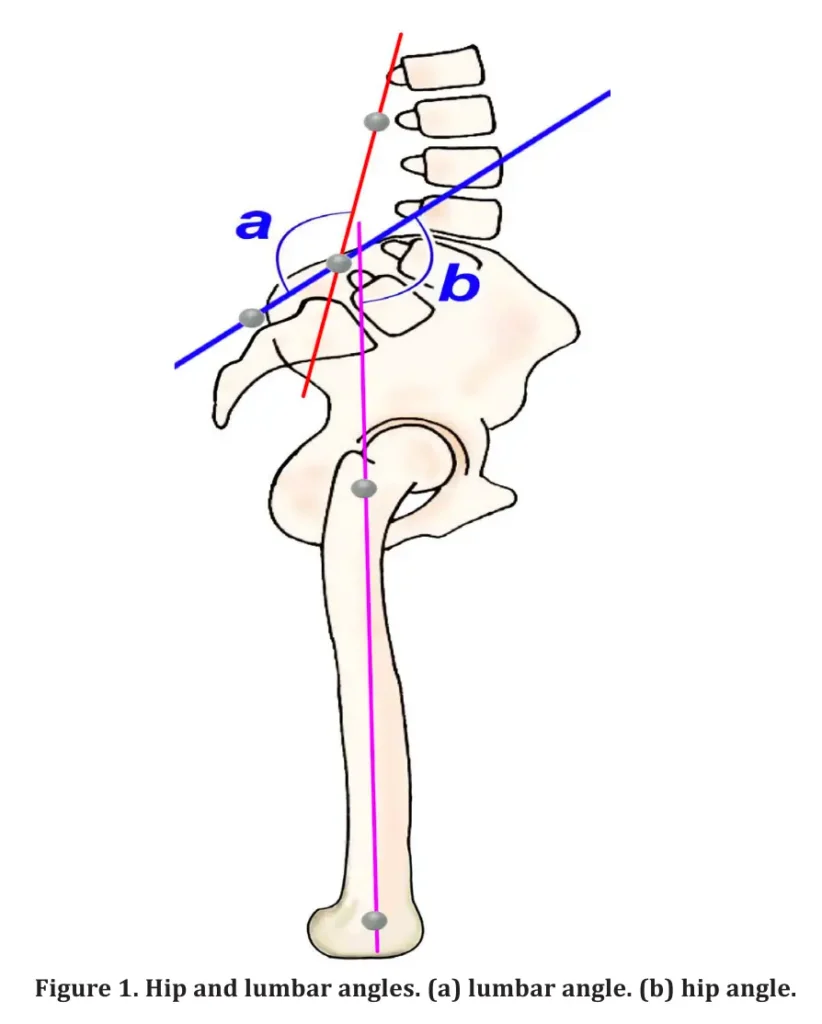 허리 통증 환자의 숨겨진 움직임 패턴! 당신의 허리가 고관절보다 2배 더 많이 움직인다면?